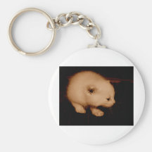 Gatinho recém-nascido chaveiros