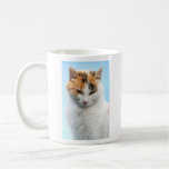 Gato bonito caneca