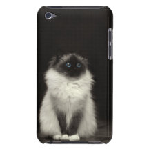 Gato bonito capas iPod touch Case-Mate