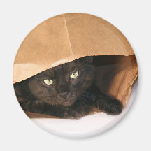 Gato de Blck em um ímã do saco Imas De Geladeira