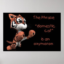 Gato doméstico no preto poster