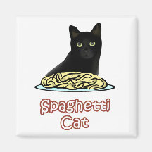 Gato dos espaguetes ima