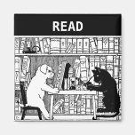 Gato e cão na biblioteca imas