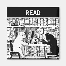 Gato e cão na biblioteca imas