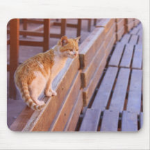 Gato empoeirado mousepads