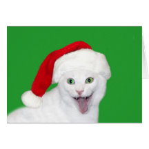 Gato feliz do papai noel cartões