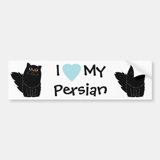 Gato persa preto com olhos alaranjados adesivo Zazzle Armario Limpieza Conforama ~ Gato persa preto com olhos alaranjados adesivo Zazzle