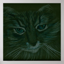 Gato Pôsteres