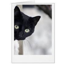 Gato preto cartoes