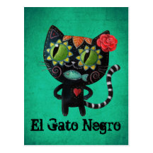 Gato preto do morto cartão postal