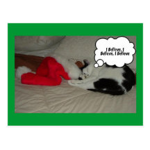 Gato preto e branco do gatinho do Natal Cartões Postais