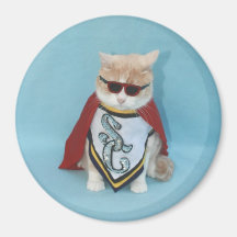 Gato super imas de geladeira