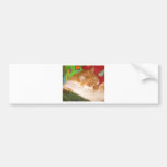 Gato vermelho sonolento adesivos