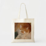 Gato vermelho sonolento - deixe-me dormir! bolsas