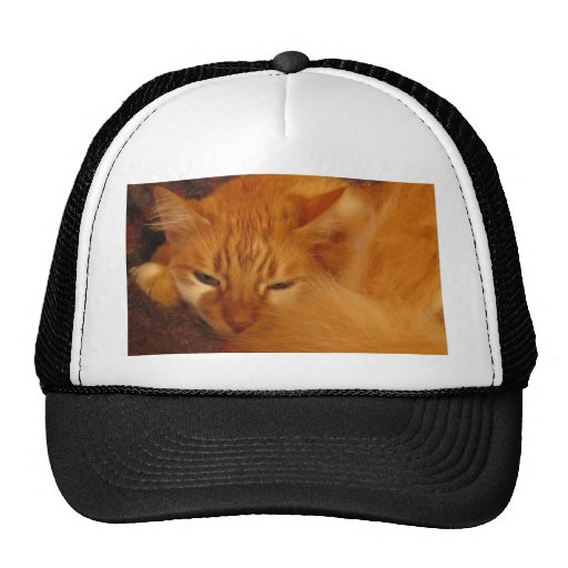 Gato vermelho sonolento - você deixe-me finalmente boné