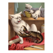 Gatos & cartão impertinentes da lagosta cartões postais