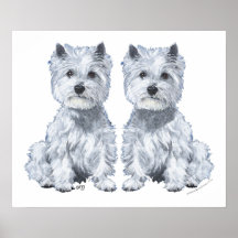 Gêmeos de Terrier branco de montanhas ocidentais! Posteres