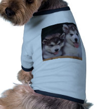gêmeos roupas pet