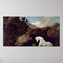 George Stubbs - o cavalo amedrontado por um leão Posters