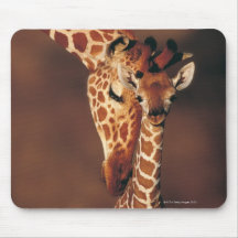 Girafa adulto com vitela (camelopardalis do Giraff Mouse Pad