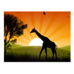 Girafa no movimento cartões postais