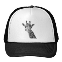 Girafa preto & branco bonés