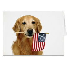 Golden retriever 4o julho cartao