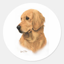 Golden retriever adesivo redondo
