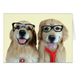 Golden retriever com o cartão dos vidros do nerd