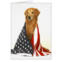 Golden retriever e bandeira americana cartão