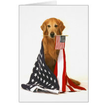 Golden retriever e bandeira americana cartoes