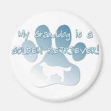 Golden retriever Granddog Ima De Geladeira
