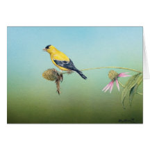 Goldfinch americano Notecards - Tim Larson Cartões