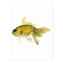 goldfish.jpg cartoes postais