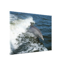 Golfinho de Bottlenose 60 x 40 Impressão De Canvas Envolvida