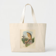 Gould - nisus Sparrowhawk do Accipiter Bolsa Para Compra