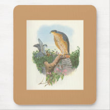 Gould - nisus Sparrowhawk do Accipiter Mouse Pad