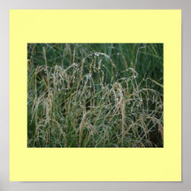 Grama de Dewey Poster