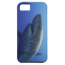 Grande caixa de IPhone 5 do tubarão branco Capas iPhone 5