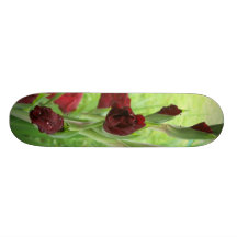 haste skate
