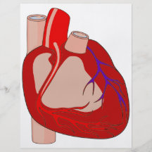 Hearted grande panfleto personalizados