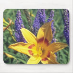 hemerocallis amarelos de Mikado, flores (do Hemero Mousepad