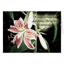 HeturnsawildernessZazzle Cartoes