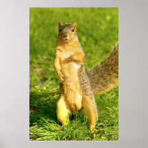 Hey o amigo, tem-no visto meus loucos! poster