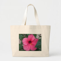 Hibiscus cor-de-rosa bolsas