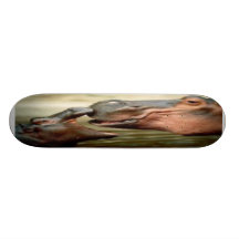 HIPOPÓTAMO SKATE