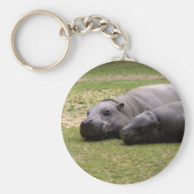 Hipopótamos do pigmeu chaveiros