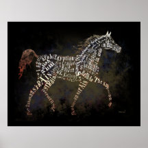 História do poster árabe do cavalo
