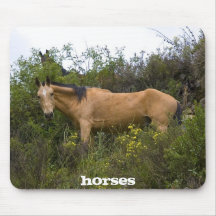 horses mousepads