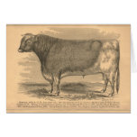 Hotspur, primeiro prêmio Bull em Utica, 1863 Cartao
